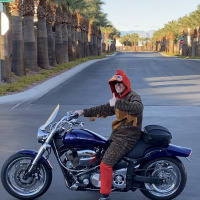 Vegas Fritz