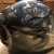 Arizona Gixxer