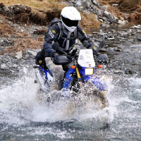 transalpernz