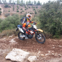 eyalfox