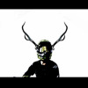 Stag Adv