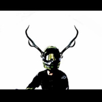Stag Adv