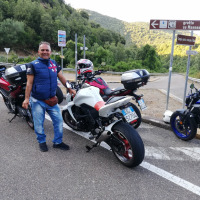 Mauro Abis