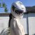 vnne_c6