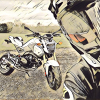 UK Grom Shark