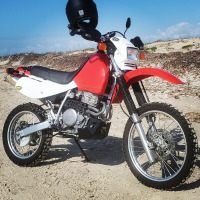 AWALL86