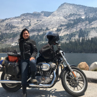 motoadvkitty