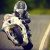 BMWS1KRR