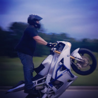 Grizzly Stunts