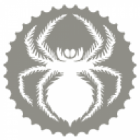 The Tarantulas