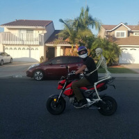 jhald88