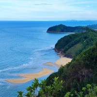 W Tai