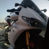 LocoNegro559
