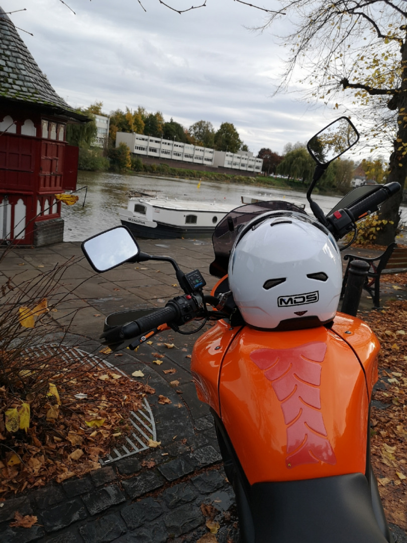 Ride out to the groves the other day ? nice to get out again.