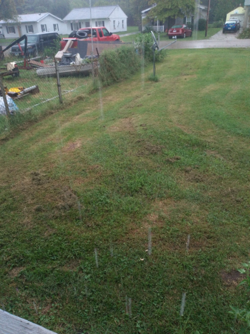 Started Raining