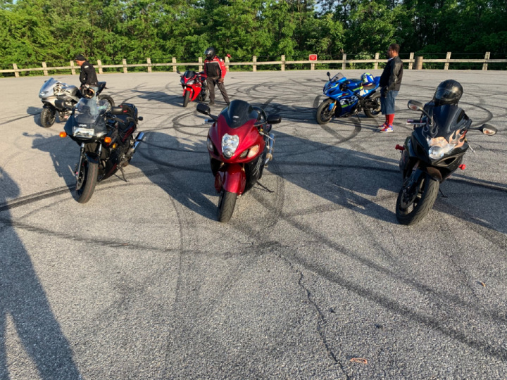 Wolf Pack