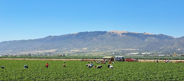 Trip from San Francisco to Solvang, 391 miles