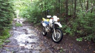 Yamaha XT 350 - La ptit