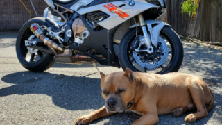 BMW S 1000 RR