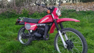 Suzuki TS 125 - Suzy