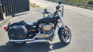 Harley-Davidson Sportster 883 - Neal