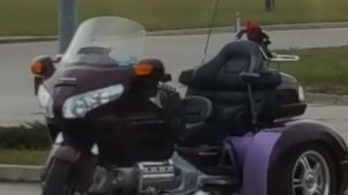 Honda GL 1800