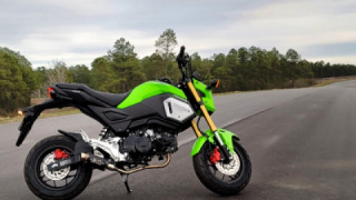 Honda Grom MSX125