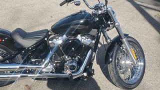 Harley-Davidson Softail Standard