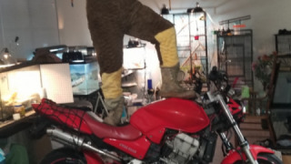 Honda CB 900