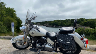 Yamaha V Star 650 - Mildred