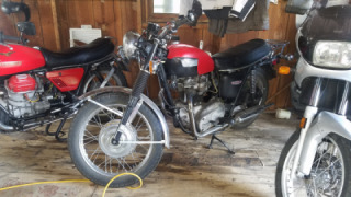 Triumph TR6 Trophy