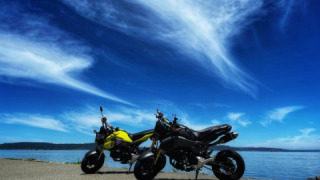Honda Grom MSX125