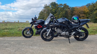 Suzuki SV 650S - Leia