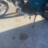 Suzuki TS 125 - Ts 100