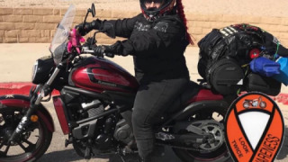 Kawasaki Vulcan S - Sassy