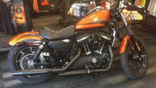 Harley-Davidson Sportster 883 - Candy