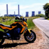 Honda CB 650 - Naughty Knickers