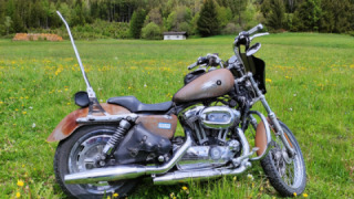 Harley-Davidson Sportster 1200