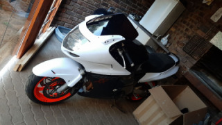 Honda CBR 1100XX - SuperBird