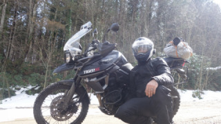 Triumph Tiger 800 - Black Cat