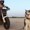Honda CBR 600F4i - *HURACAN*