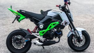 Honda Grom MSX125 - Stunt Bike