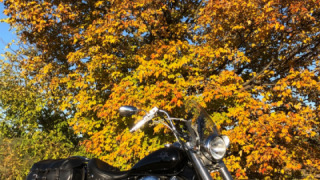 Yamaha V Star 650 - Yamaha Vstar Classic