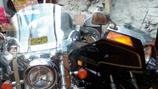 Honda GL 1100 - Goldie