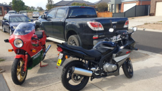 Suzuki GS 500 - Miss Q
