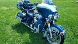 Harley-Davidson Ultra Classic Electra Glide - Hoof Arted