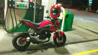 Honda Grom MSX125 - Quincy