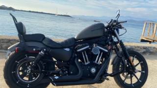 Harley-Davidson Sportster 883 - Camelia