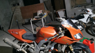 Suzuki SV 1000S - Becca