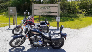 Honda VT 600 Shadow - Gertrude